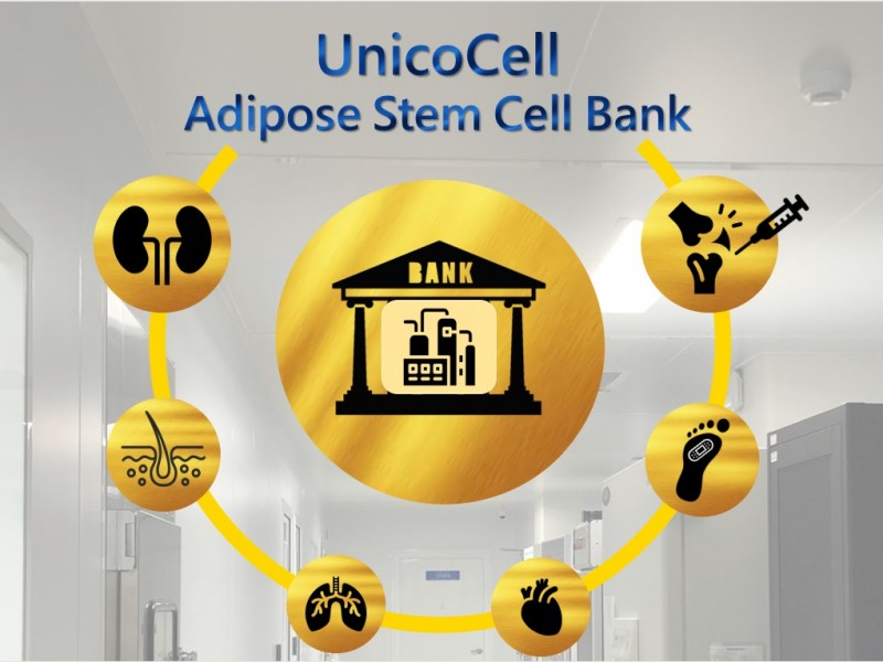 Allogeneic Adipose Stem Cell Bank